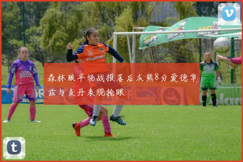 森林狼半场战报落后灰熊8分爱德华兹与麦丹表现抢眼